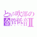 とある吹部の金管低音Ⅱ（チューバ）