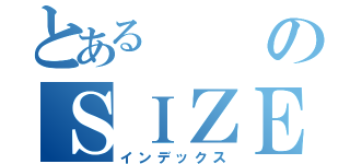 とあるのＳＩＺＥＮＮＫＹＯＵＳＩＴＵ （インデックス）