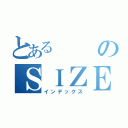 とあるのＳＩＺＥＮＮＫＹＯＵＳＩＴＵ （インデックス）