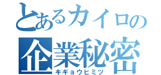 とあるカイロの企業秘密（キギョウヒミツ）