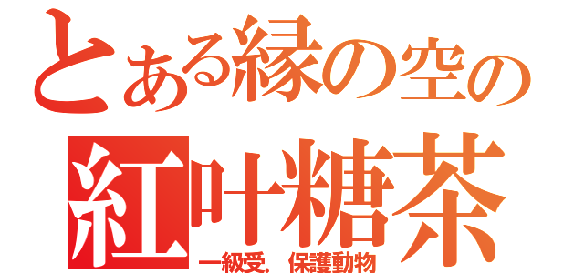 とある縁の空の紅叶糖茶（一級受．保護動物）