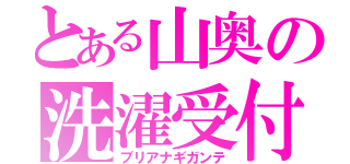 とある山奥の洗濯受付（ブリアナギガンテ）