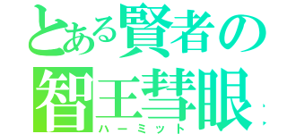 とある賢者の智王彗眼（ハーミット）