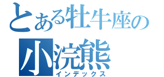 とある牡牛座の小浣熊（インデックス）
