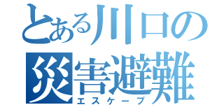 とある川口の災害避難（エスケープ）