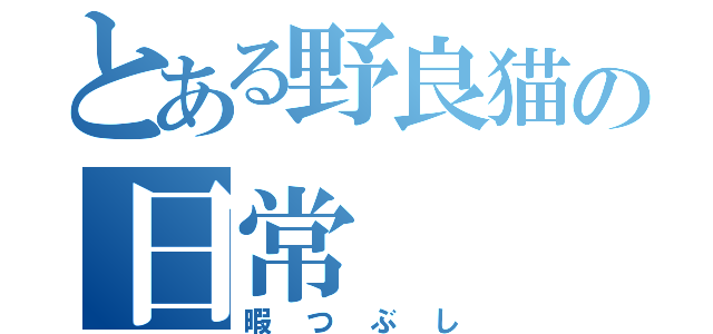 とある野良猫の日常（暇つぶし）