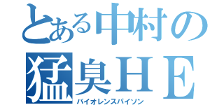 とある中村の猛臭ＨＥＳＯＧＯＭＡ（バイオレンスパイソン）