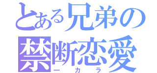 とある兄弟の禁断恋愛（一カラ）