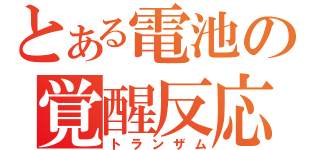 とある電池の覚醒反応（トランザム）