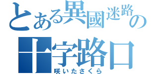 とある異國迷路の十字路口（咲いたさくら）