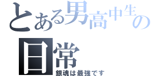 とある男高中生の日常（銀魂は最強です）