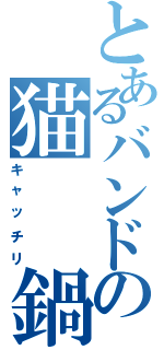 とあるバンドの猫  鍋（キャッチリ）