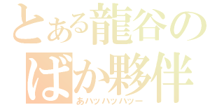 とある龍谷のばか夥伴（あハッハッハッー）