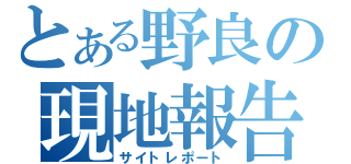 とある野良の現地報告（サイトレポート）