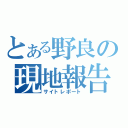 とある野良の現地報告（サイトレポート）