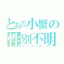 とある小蟹の性別不明（オトコノコ）