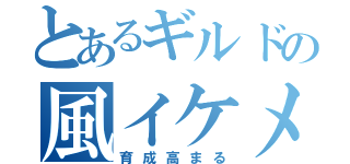 とあるギルドの風イケメン（育成高まる）