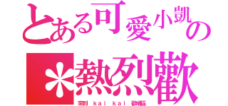 とある可愛小凱の＊熱烈歡迎各位＊（來到 ｋａｉ ｋａｉ 歡唱區）