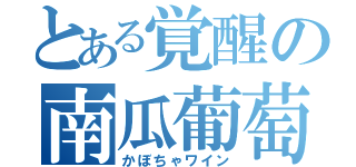 とある覚醒の南瓜葡萄酒（かぼちゃワイン）