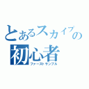 とあるスカイプの初心者（ファーストサンプル）