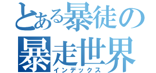 とある暴徒の暴走世界（インデックス）