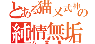 とある猫又式神の純情無垢（八雲橙）