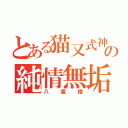 とある猫又式神の純情無垢（八雲橙）