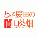 とある慶田の向日葵畑（イキスギガーデン）