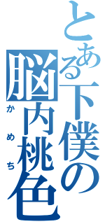 とある下僕の脳内桃色放送（かめち）