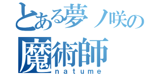 とある夢ノ咲の魔術師（ｎａｔｕｍｅ）