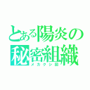 とある陽炎の秘密組織（メカクシ団）