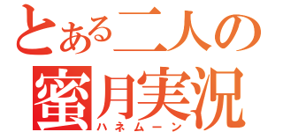 とある二人の蜜月実況（ハネムーン）