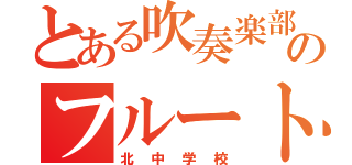 とある吹奏楽部のフルート吹き（北中学校）