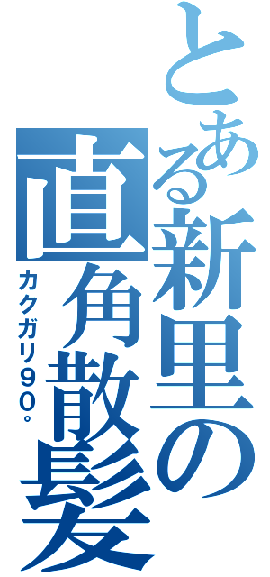 とある新里の直角散髪（カクガリ９０°）