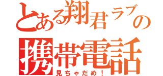 とある翔君ラブの携帯電話（見ちゃだめ！）