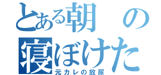 とある朝の寝ぼけた顔に（元カレの放尿）