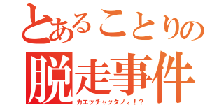 とあることりの脱走事件（カエッチャッタノォ！？）