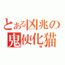 とある凶兆の鬼使化猫（　橙）