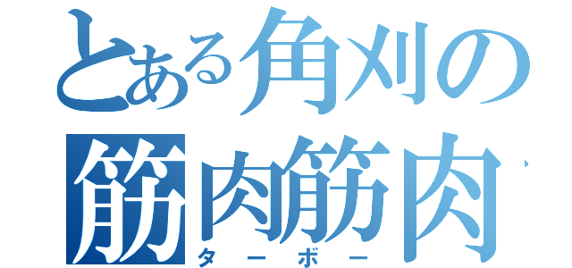 とある角刈の筋肉筋肉（ターボー）