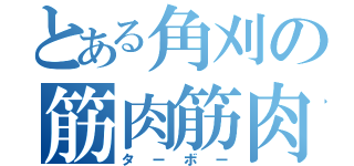 とある角刈の筋肉筋肉（ターボー）