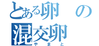 とある卵の混交卵（やまと）