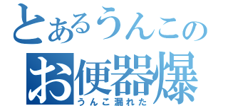 とあるうんこのお便器爆発（うんこ漏れた）