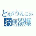 とあるうんこのお便器爆発（うんこ漏れた）