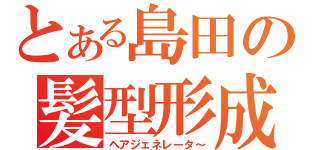 とある島田の髪型形成（ヘアジェネレータ～）