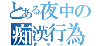 とある夜中の痴漢行為（きゃー）