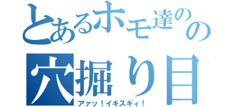 とあるホモ達のの穴掘り目録（アァッ！イキスギィ！）