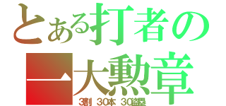 とある打者の一大勲章（３割　３０本　３０盗塁）