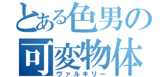 とある色男の可変物体（ヴァルキリー）