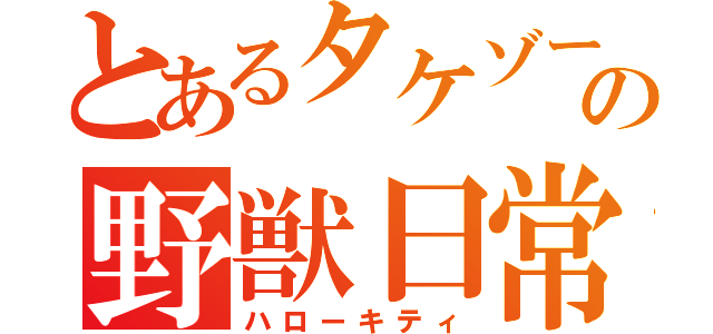 とあるタケゾーの野獣日常（ハローキティ）