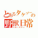 とあるタケゾーの野獣日常（ハローキティ）